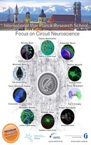 Neuroscience_PhD_interactive