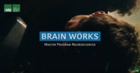 brain works