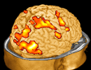 fMRI_klein