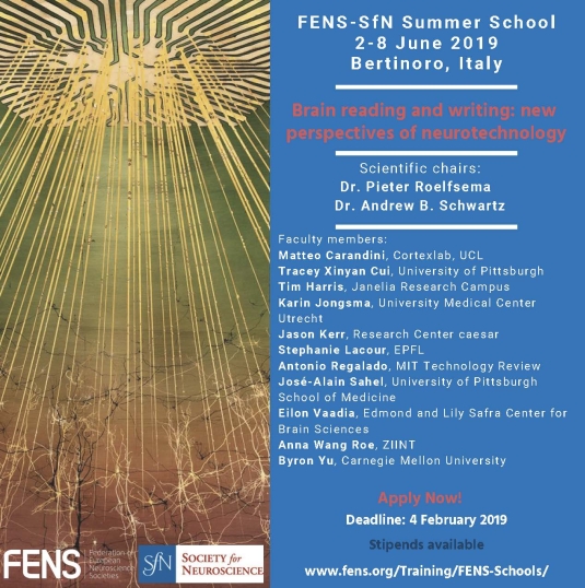 fens-sfn-summerschool-poster