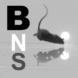 logo_bns