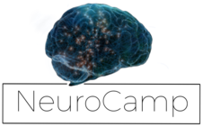 neurocamp