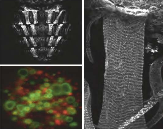 postdoc positions kiger ucsd teaser