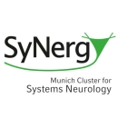 synergy logo