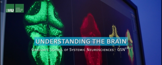 Understanding the brain