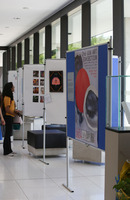 GSN Art exhibit - Neurogarden