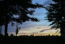 Sunset at the Biocenter