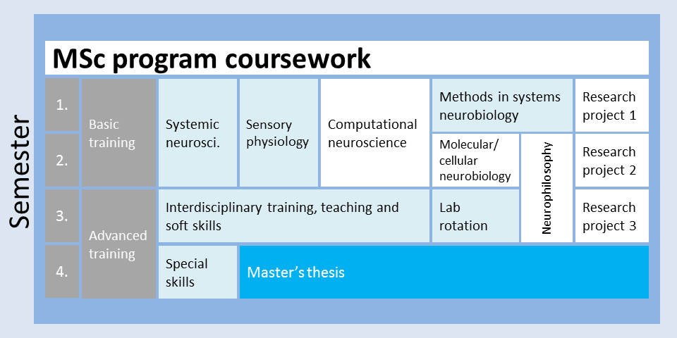 MSc Neurosciences Curriculum - Graduate School of Systemic Neurosciences  GSN-LMU - LMU Munich