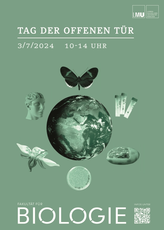 2024_tdot_plakat-2